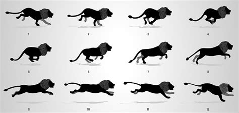 Lion Run Cycle Animation Sequence Stock Illustration Download Image