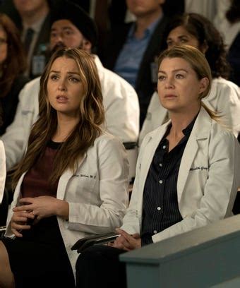 Greys Anatomy Cast First Gay Male Surgeon Alex Landi