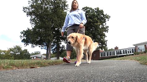 The Seeing Eye Trains Guide Dogs For Visually Impaired Video Nj
