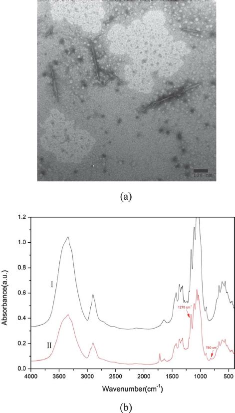 Characterization Of Hydrolyzed Cncs A Tem Micrographs Of Negatively