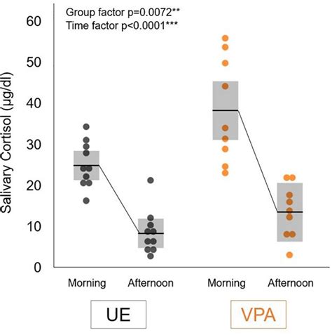 Frontiers Prenatal Valproic Acid Induced Autism Marmoset Model