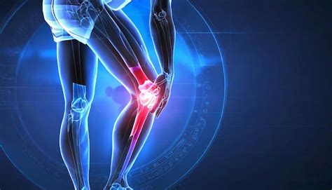 Premium Photo | 3D Visualization Maps the Comprehensive Anatomy of the ... 