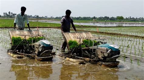 Amazing Two Rice Planting Machine Performing At Same Time In Paddy