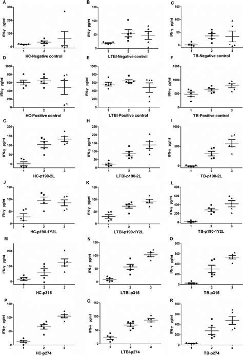 Ifn γ Levels In The Culture Supernatants Of Pbmcs Stimulated By Download Scientific Diagram