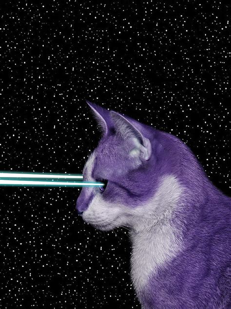 Space Laser Cat Wallpaper