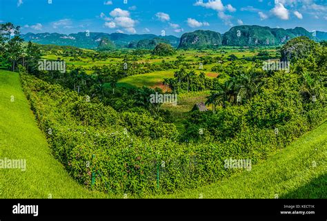 One Of The Most Beautiful Places In Cuba The Lush Valley Of Pinar Del