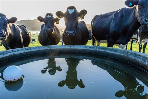 Usos Del Agua De Lluvia En El Campo Rotoplas Agroindustria