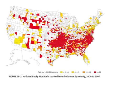 Patho Micro EXAM 4 5 Rickettsia Rocky Mountain Spotted Fever