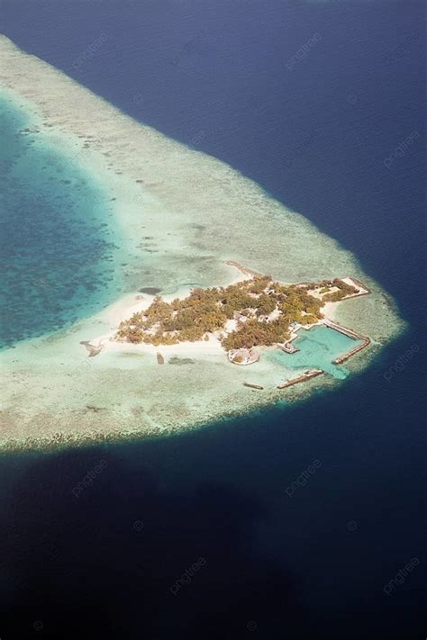 Atoll In The Maldives Indian Vegetation Sea Photo Background And