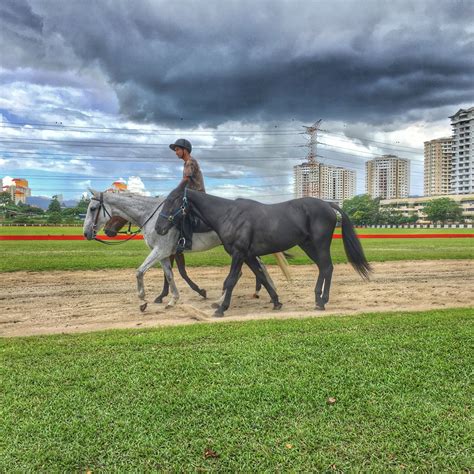 Royal Selangor Polo Club Frank Coleman