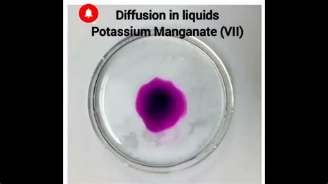 What Is Diffusion Potassium Manganate Vii Youtube