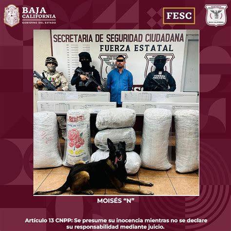 Detiene Fesc Y Sedena A Hombres Con Armas Y Mota En Tecate En Linea Bc