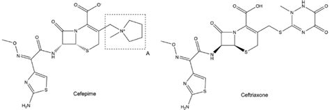 Molecular Structures Of Cefepime And Ceftriaxone A Download