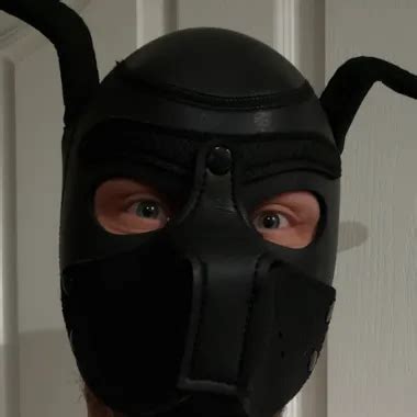 Pup Needed Release While On Errands American Gay Amateur Porn XHamster