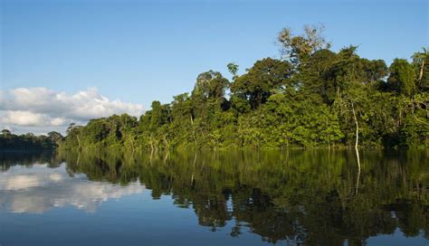 Descubre la belleza de la nueva área natural protegida del Perú VAMOS