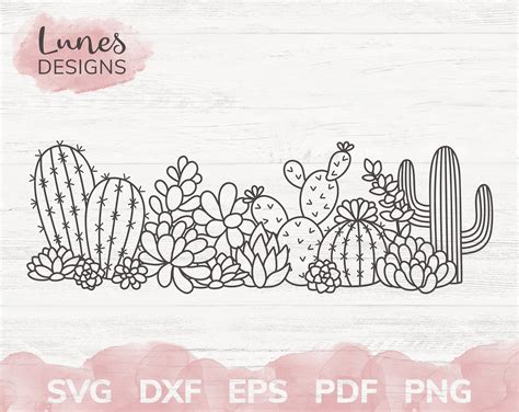 Cactus Svg Bundle Succulent Svg Cactus In Pots Svg Boho Etsy