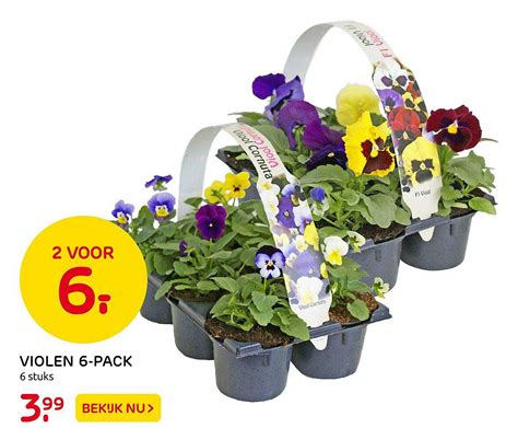 Violen 6 Pack Aanbieding Bij Praxis 1Folders Nl