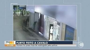 Bom Dia Piauí Homem preso suspeito de furtos usava cavalo para fuga