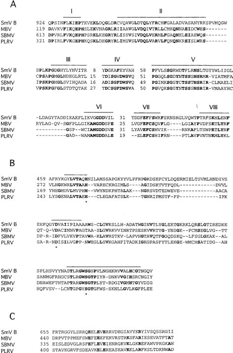 Amino Acid Alignment Of The Putative Rdrp Domains A The Putative