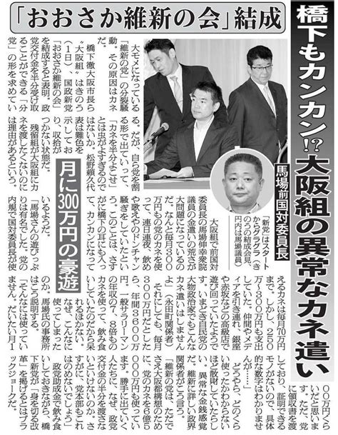 【改憲へ】お維新・馬場幹事長「自民、公明、お維新、こころの改憲勢力で参院選3分の2を目指す！」 健康になるためのブログ