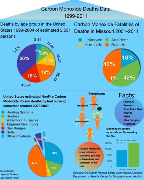 Infographic Carbon Monoxide Deaths Data Sli