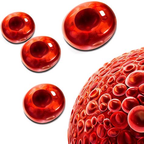 Red Blood Cells Png Images 100