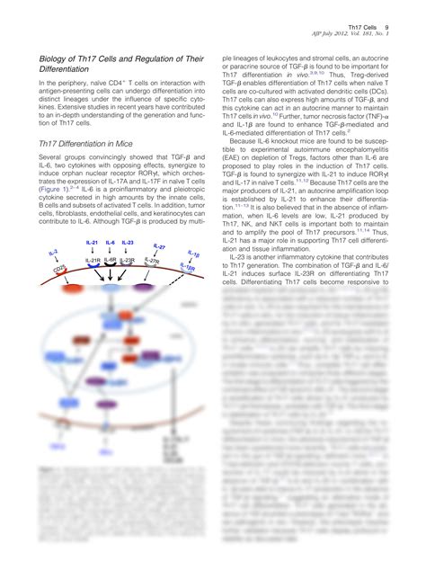 Solution Th Cells Biology Pathogenesis Of Autoimmune And