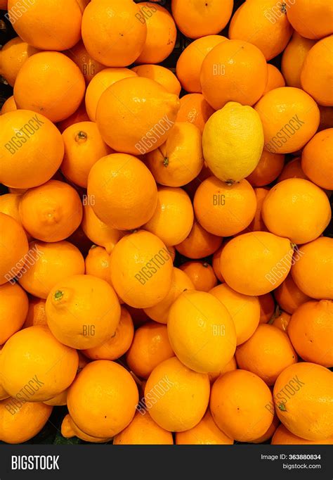 Lots Ripe Orange Fruit Image And Photo Free Trial Bigstock