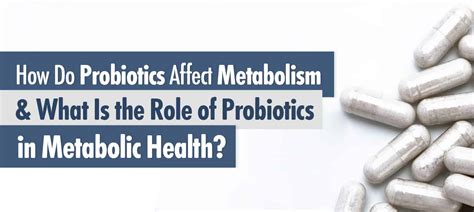 How Do Probiotics Affect Metabolism And What Is The Role Of Probiotics