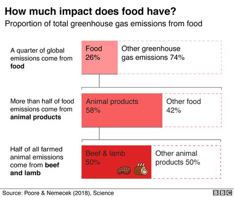 Climate Change What Can I Do About It And Other Questions Bbc News