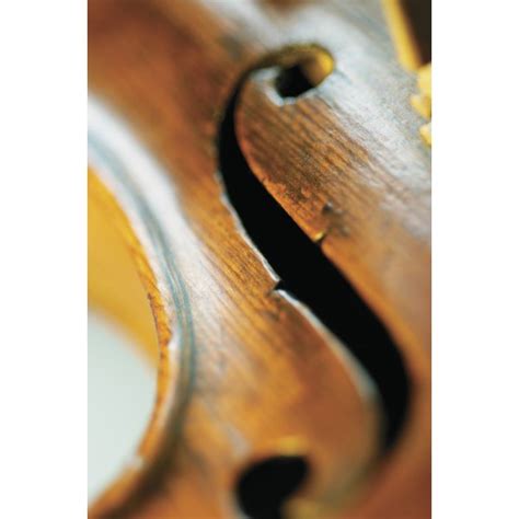 Did Bach Write Sacred And Secular Music Synonym