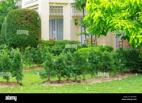 Garden Stone Path With Grass Stock Photo Alamy