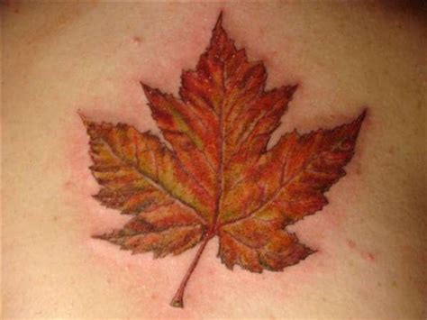 Canadian Leaf Tattoo