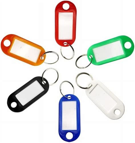 100Pack Plastic Key Tags with Container, Key Labels with Ring Label Window Key Tags Key Tags ...