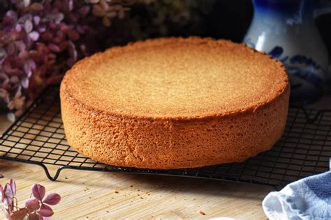 Italian Sponge Cake Recipe Pan Di Spagna She Loves Biscotti
