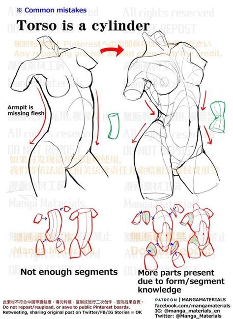 Pin By Akiera Furusato On Female Anatomy Reference Human