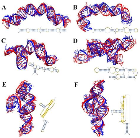 Predicted 3d Structures By Isrna1 Model For Several Representative Rna