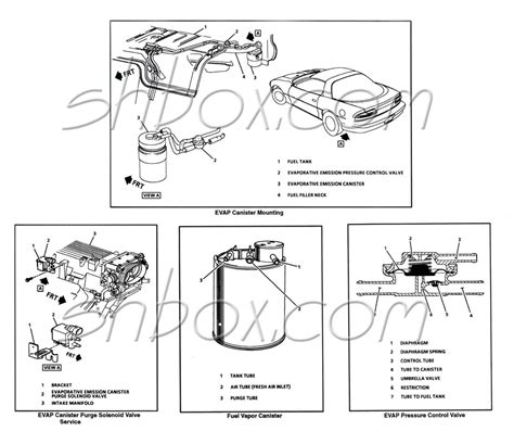 Evap Canister Hose Diagram