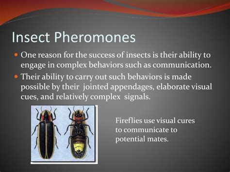 PPT - Insect Pheromones PowerPoint Presentation - ID:2800322