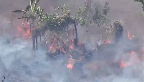 2 Ha Lahan Perkebunan Di Parepare Terbakar Api Mendekati Permukiman Warga