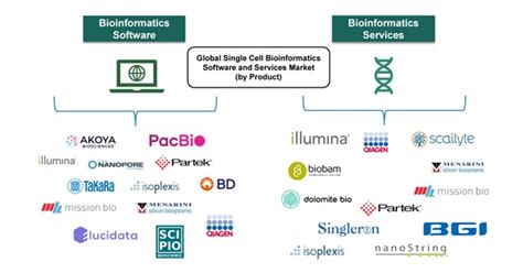 Bioinformatics Is An Integrative Field That Creates Methods And