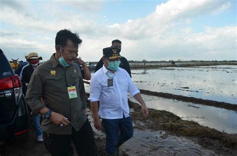 Gubernur Kalteng Dampingi Mentan Tinjau Lokasi Rencana Penanaman