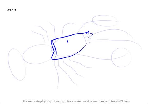 How to Draw a Lobster (Other Animals) Step by Step ...