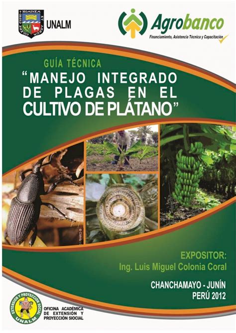 Pdf Manejo Integrado De Plagas En El Cultivo De Platano · Manejo