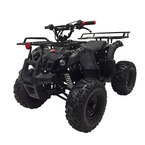 Atv Side By Side And Utv Body And Frame Auto Parts And Vehicles Coolster Plastic Body 110 125 Cc