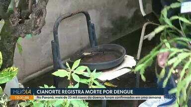 Meio Dia Paran Noroeste Cianorte Registra Morte Por Dengue Globoplay