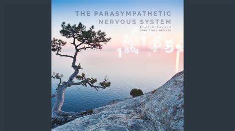 The Parasympathetic Nervous System Radio Edit Youtube