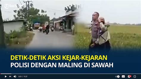 Detik Detik Aksi Kejar Kejaran Polisi Dengan Maling Motor Di Sawah