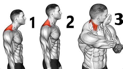 5 Exercises To Strengthen Your Neck Neck Exercises For Beginners