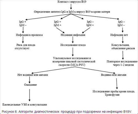 Парвовирус В19 и беременность